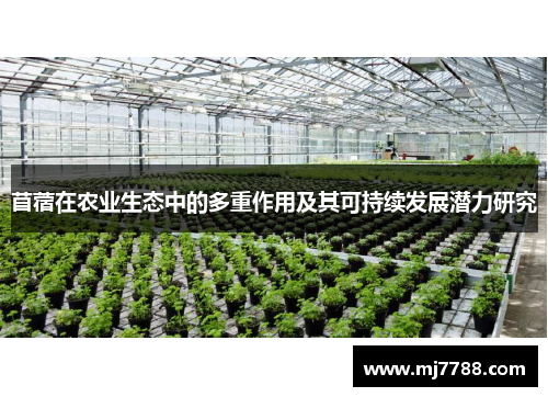 苜蓿在农业生态中的多重作用及其可持续发展潜力研究
