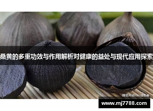 桑黄的多重功效与作用解析对健康的益处与现代应用探索