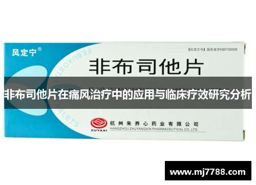 非布司他片在痛风治疗中的应用与临床疗效研究分析